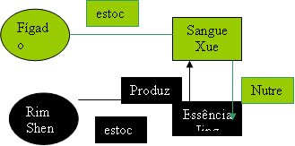 Xin Bao Luo - Melhor Tradução - Meridiano CS ou PE